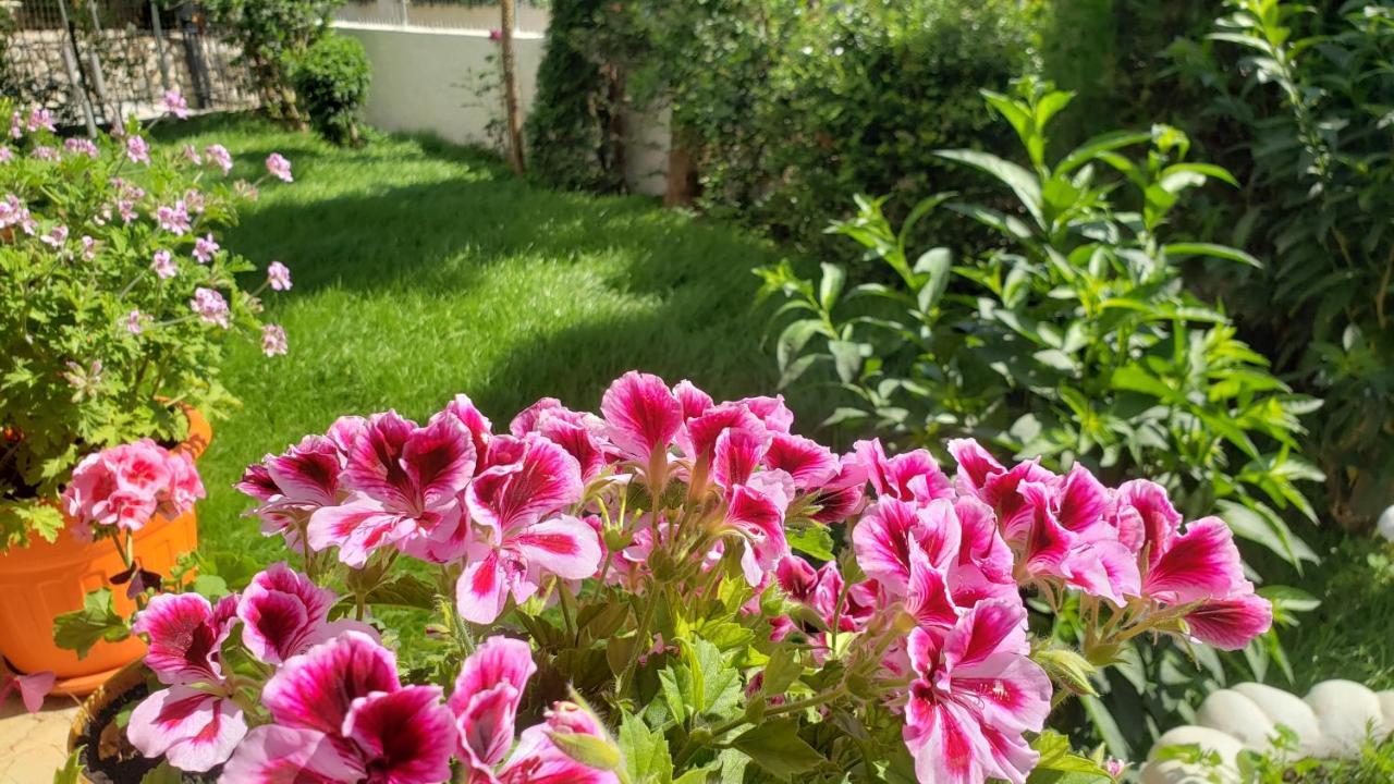 Vila Renato كساميل المظهر الخارجي الصورة