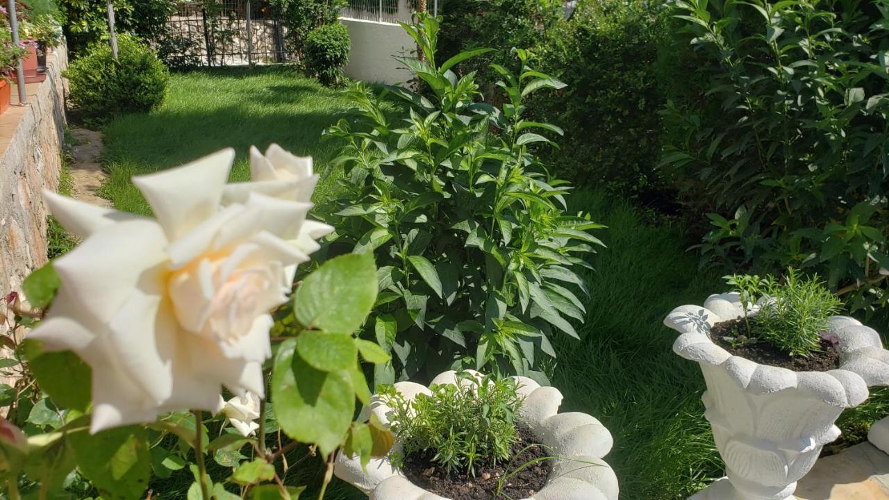 Vila Renato كساميل المظهر الخارجي الصورة