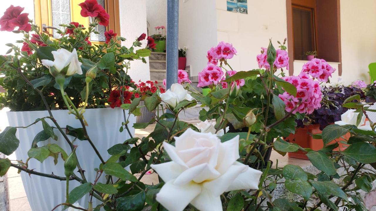 Vila Renato كساميل المظهر الخارجي الصورة