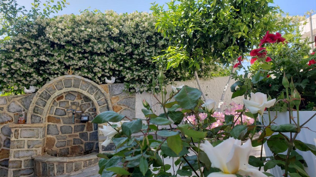 Vila Renato كساميل المظهر الخارجي الصورة